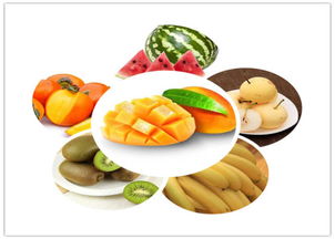 中医养生保健 守护健康，传承智慧