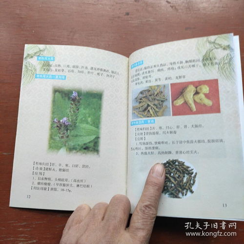 《中医养生保健服务指南 妇女、高血压及中医基础三册精要》