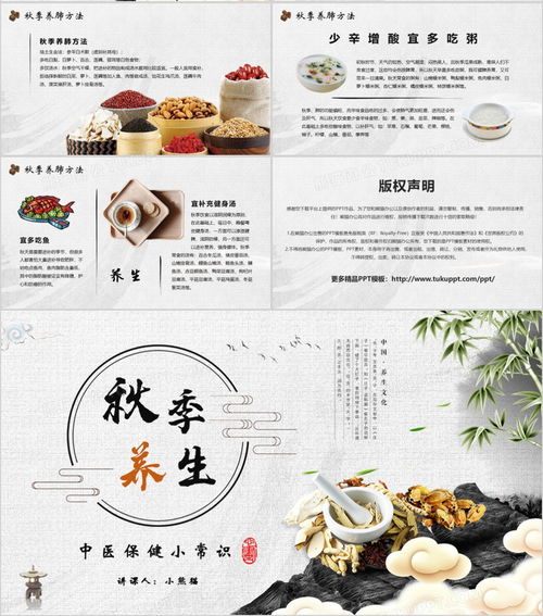 国风秋韵话养生 中医保健知识讲座PPT模板（熊猫办公）