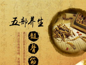 融合中医养生文化，打造专业展板设计——高清PSD模板助力企业健康服务推广